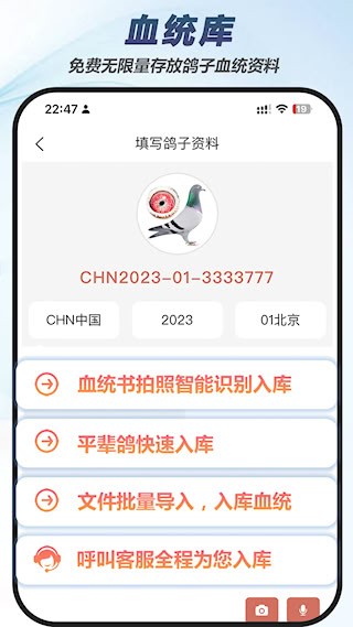 赛鸽云2