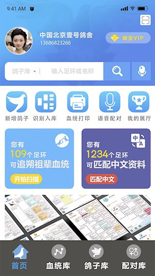 赛鸽云1