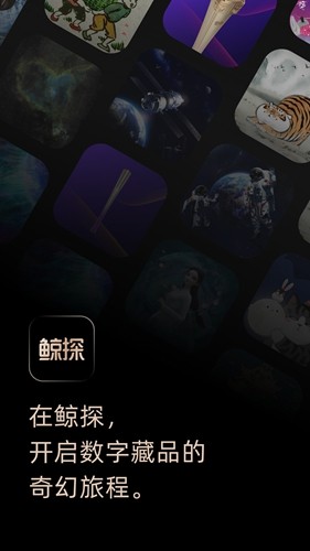 鲸探app1