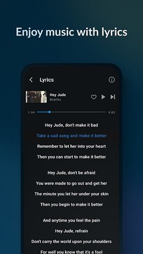 Lark Player App4