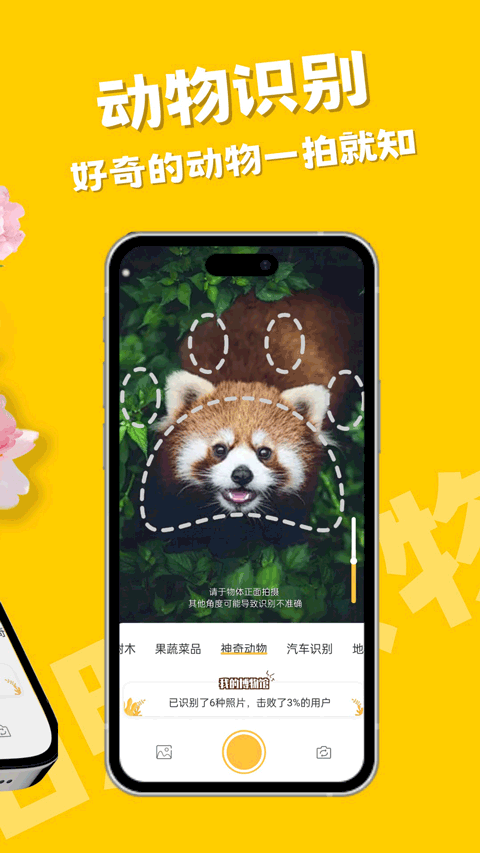 随手拍照识物app1