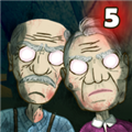 爷爷和奶奶5起源免费版