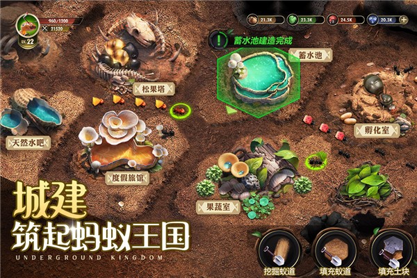 小小蚁国官方版3