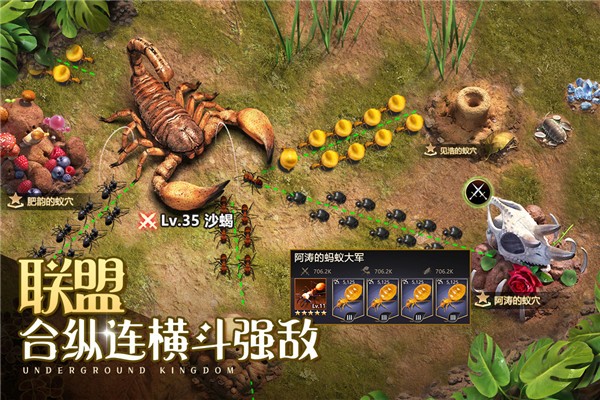 小小蚁国官方版1