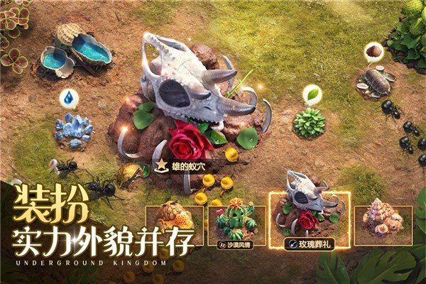 小小蚁国官方版2