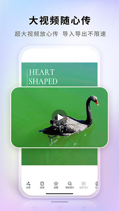 图小小相册app3