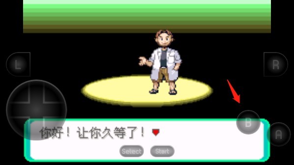 口袋妖怪绿宝石随机版2
