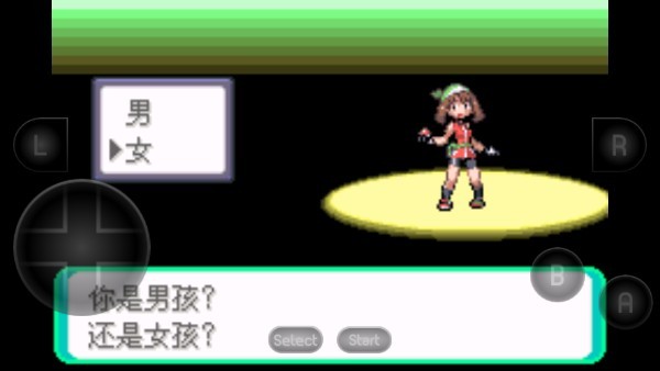 口袋妖怪绿宝石随机版4