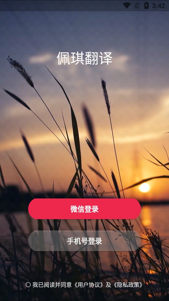 佩琪翻译APP2