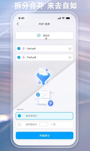 金闪PDF截图3
