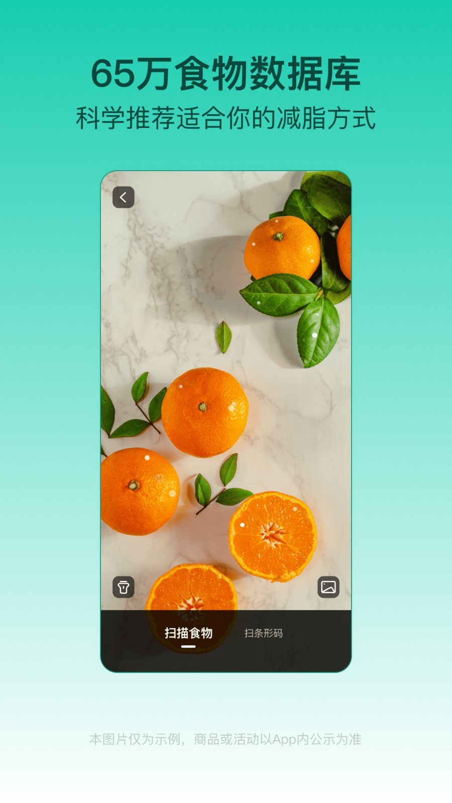 LEFU热量减肥法app截图5
