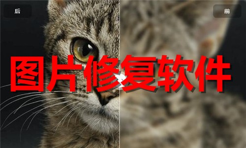 热门必备照片修复工具推荐-2025必备照片修复软件下载