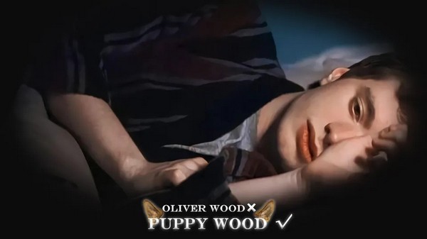 HP不靠谱学长攻略指南清软完整版4