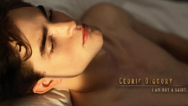 HP不靠谱学长攻略指南清软完整版2