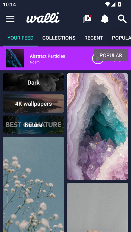 Walli壁纸app截图1