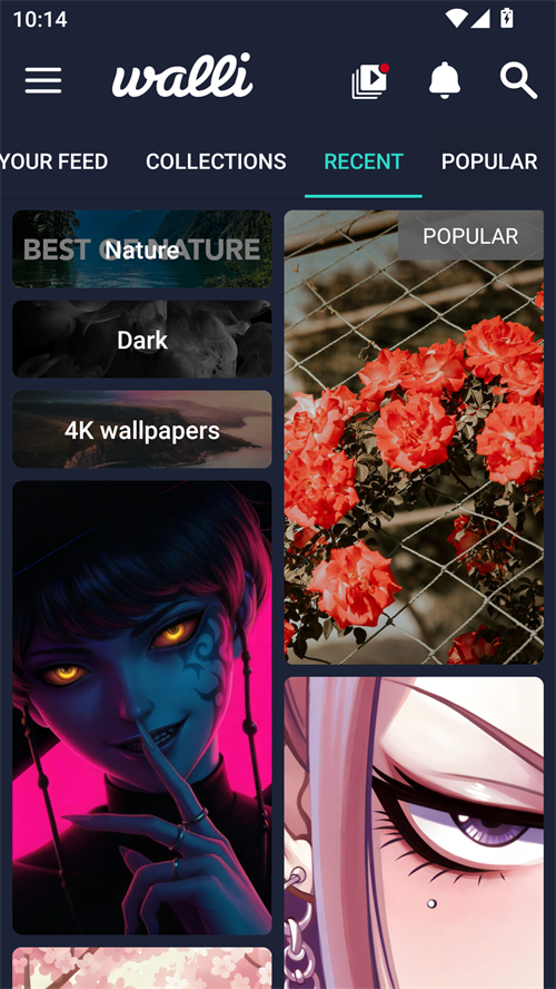 Walli壁纸app截图2