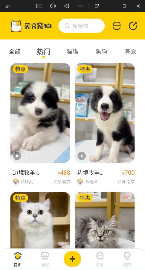 买只宠物官方版1