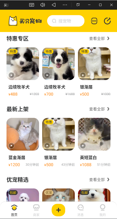 买只宠物官方版3