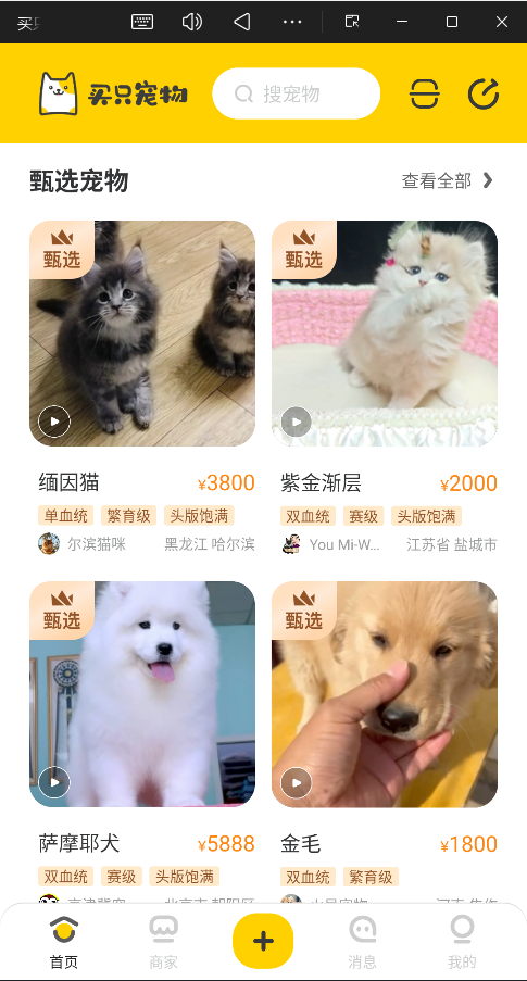 买只宠物官方版2