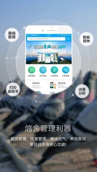 爱鸽者app截图3
