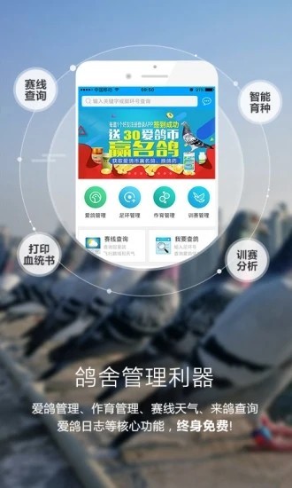 爱鸽者app截图1