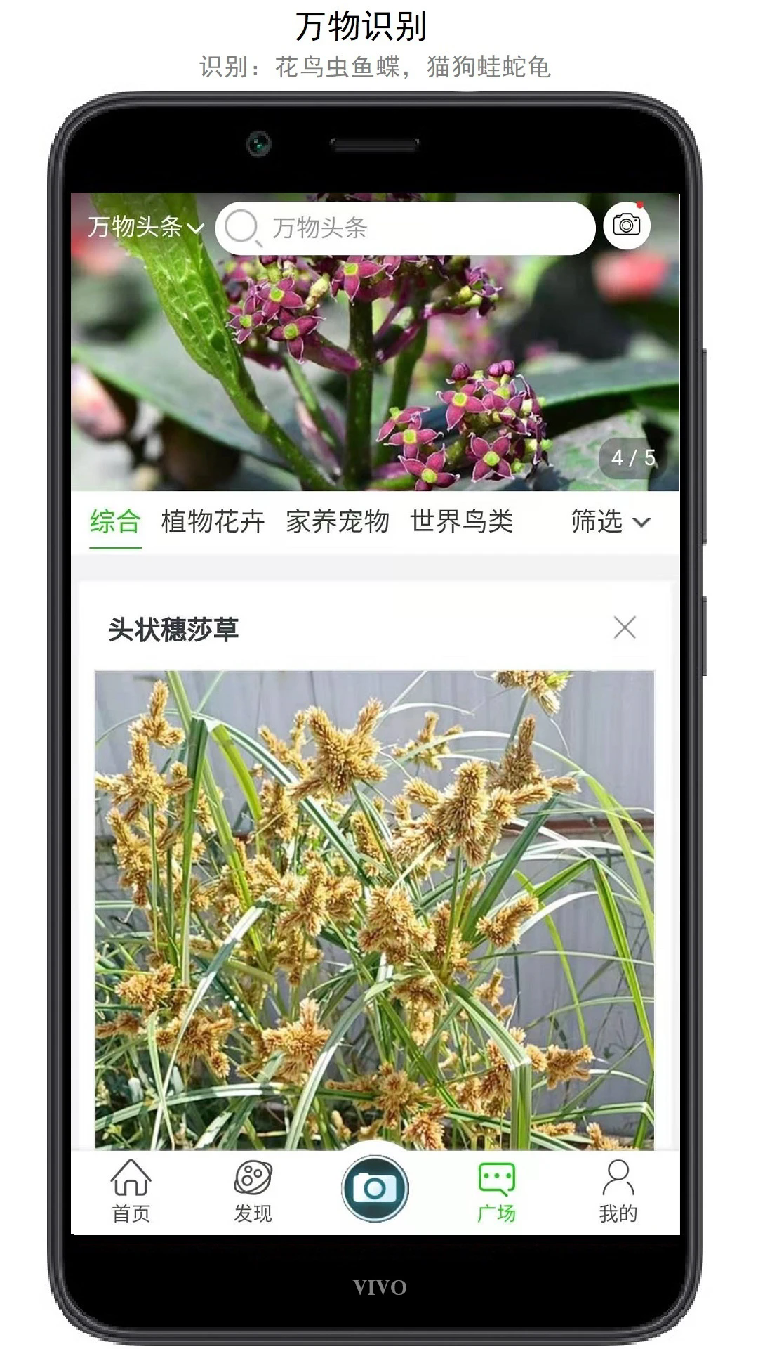 万物志app2