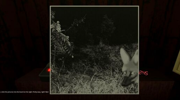 动物观察员游戏截图2