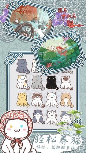 花与香水与猫免广告版3