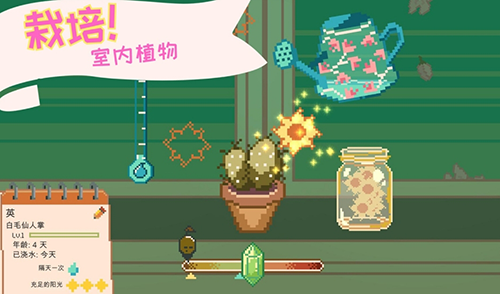 窗边花园官方版截图4