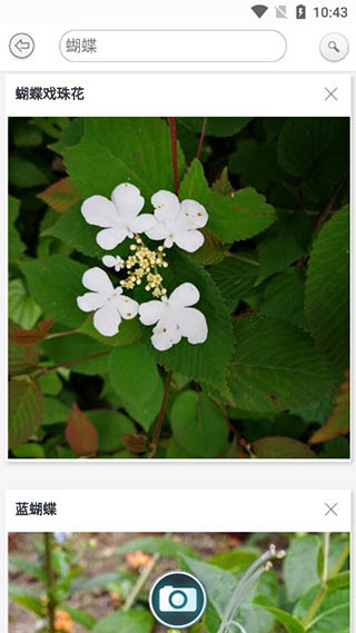  万物志 安卓版v2.1.74.2501120 生活服务