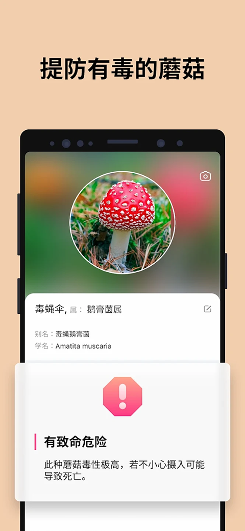 蘑菇识别扫一扫app1