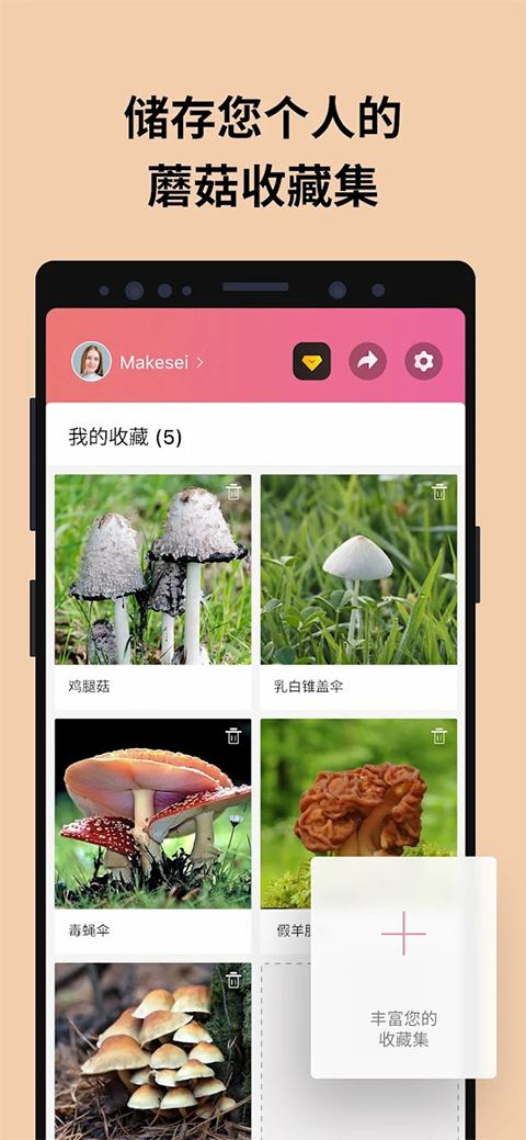 蘑菇识别扫一扫app5