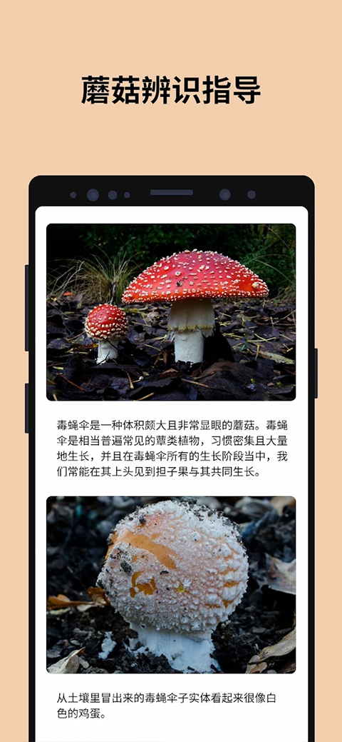 蘑菇识别扫一扫app3