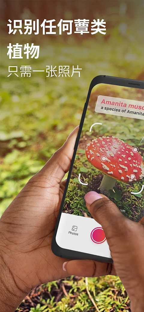 蘑菇识别扫一扫app2
