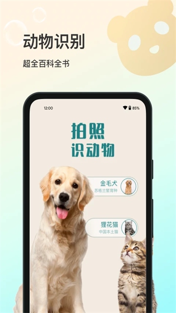 花卉识别app3