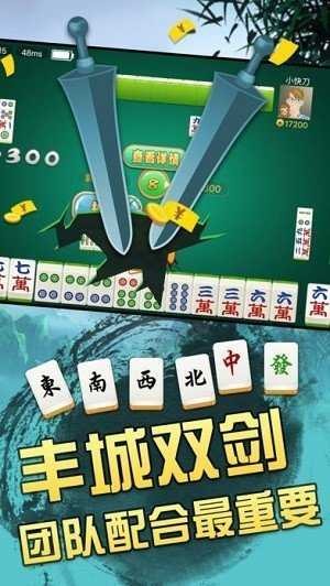 丰城瓜瓜双剑棋牌截图3