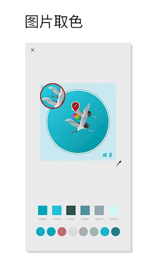  观色配色 安卓版v1.056 摄影美化