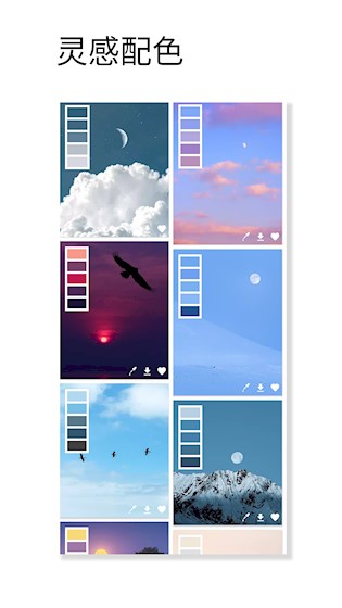  观色配色 安卓版v1.056 摄影美化