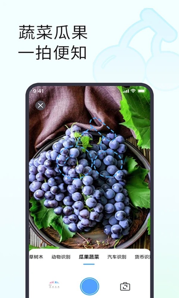 拍照识别植物app5