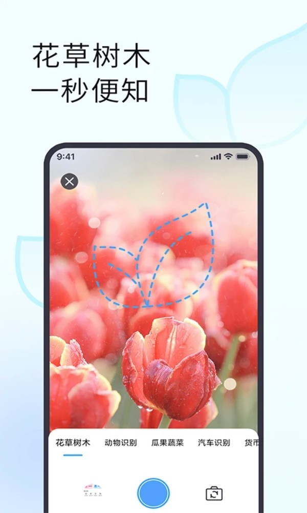 拍照识别植物app2