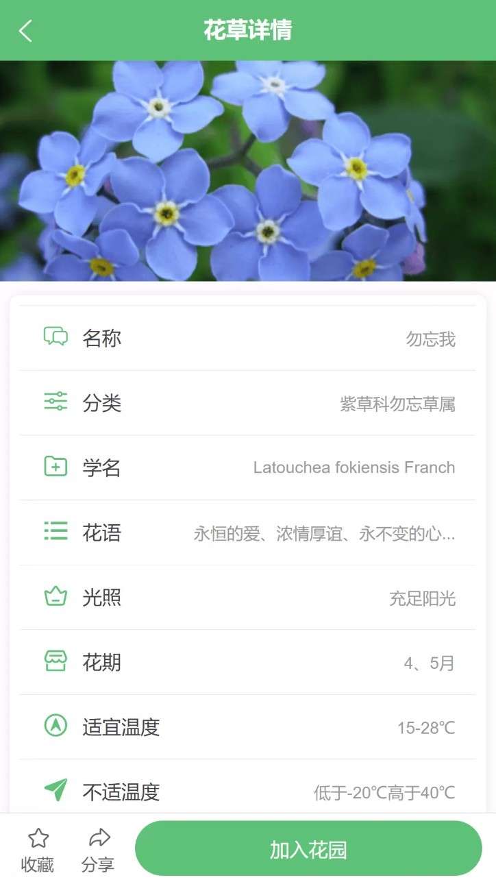 东篱花草app3
