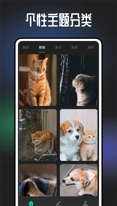 遥望壁纸app截图3