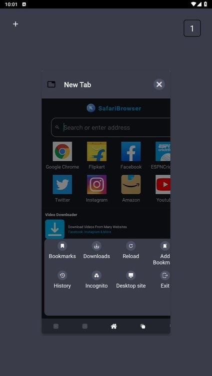 Safari浏览器app截图2