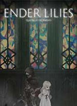 终结者莉莉:骑士的救赎九项修改器