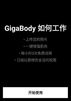  GigaBody 正版v1.10 生活服务