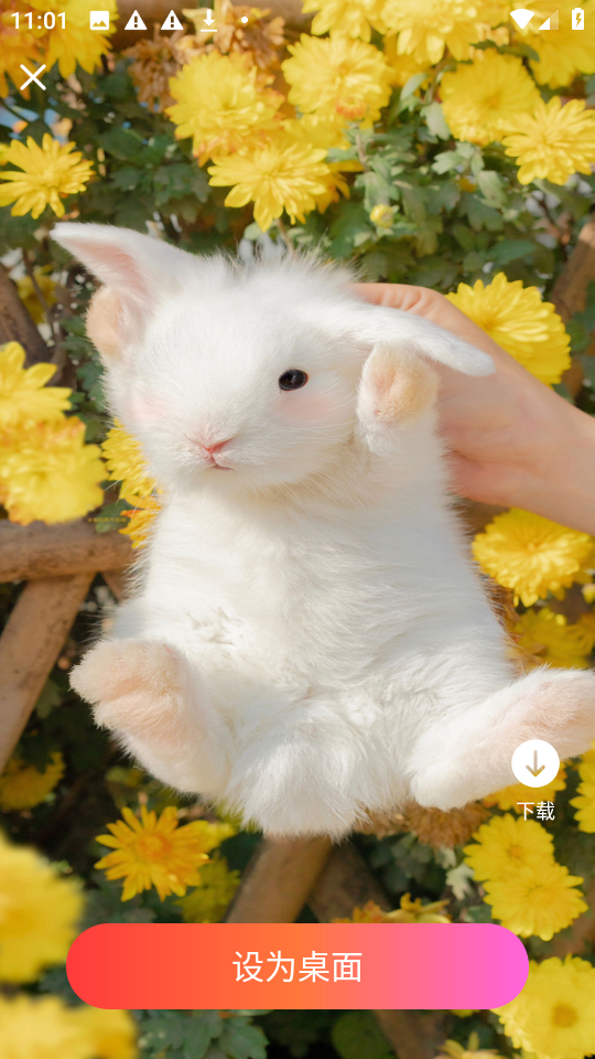 星汇壁纸app截图1