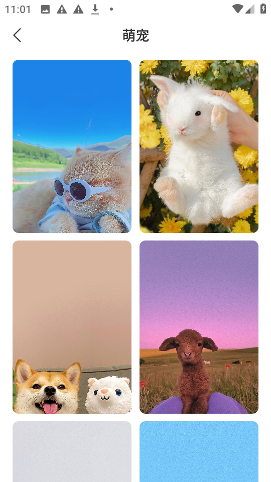 星汇壁纸app截图3