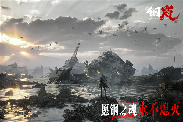 钢岚(内附兑换码)4