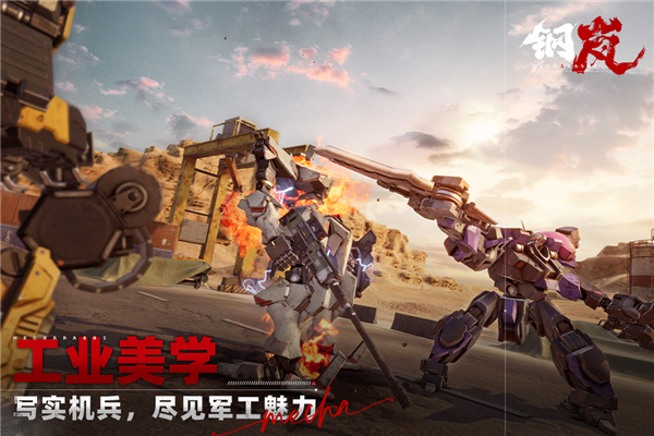 钢岚(内附兑换码)3