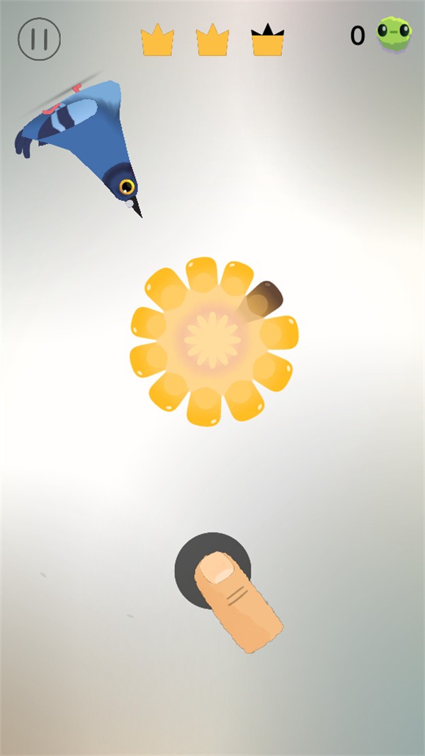 疯狂的鸽子游戏(Pigeon Pop)4